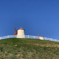 ϲ
