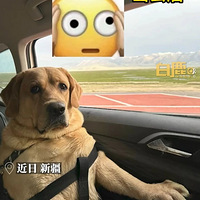 ˴ȥ½Σһºúõ౻ɹɴë