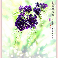 ������˿��¶��