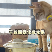 èðû뵽ԷǸϰ塭ֱ