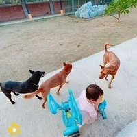 5ֻ3Ůȴ˵ûԭ̫ůˣ
