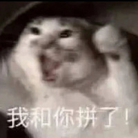 为逼女友复合，男子殴打小猫13小时，成台湾省首例虐待动物入狱