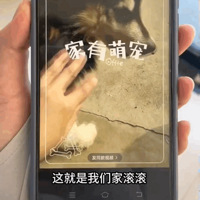 狗子走丢跑派出所炫饭，结果被民警带去做反诈宣传…没一口饭是白