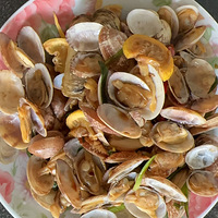 86Ů�����������Ҷ���