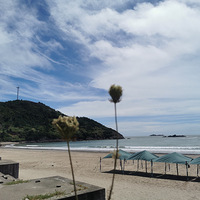 73����ȴ��г������