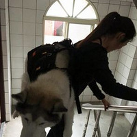 60���Ϲ��ؽ�ʹ������ÿ�챳��������¥��ֻҪ�㽡���ͺã�