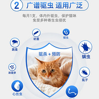 С�緢�ּ����г棬ֱ���ųɼ�������è���״�������ţ���