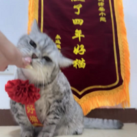 Сè������գ����˸����䷢���컹����컨����лл������4���