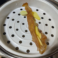 Ů�����������ţ��