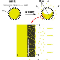 ��ȾƬ�������顢��˳����ϴ�¼���Щ������˰��