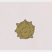 ���Ը��׸�ȾHPV���������֡��ࡱ���ǵ���֢״