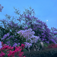 Ư��[����]