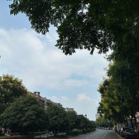 ��ã�������