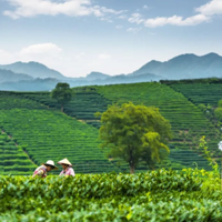 תǴ¶̨ԲɽݳǵˣԼ12.9