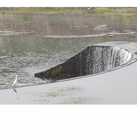 һ�Ρ���ɫ�������ľ���