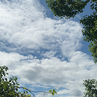 �Ͼ�����������