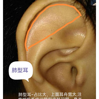 ���ֶ��ͣ��������֣�