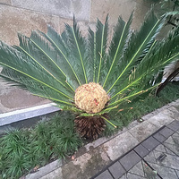 ϲӭ���ˣ������п��������������