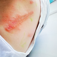 �ⶾ����š���ɵ����ᡱ���Ҳ����������