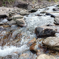 ������һ���׽�����Ȼ��