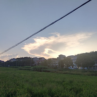 �������һ��