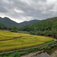 ʮһ������ש