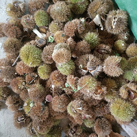 �����Ǹ�δ֪����һ����Զ�б���