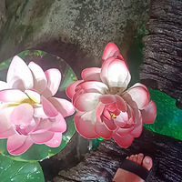 ����Ҫ�࿴��