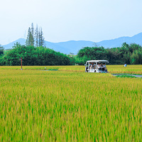 �����ͯ��������Ψ������һ����