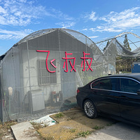 ժ�����飡
