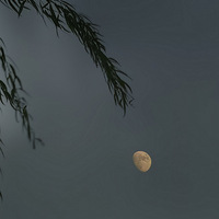 ��������ͷ����Լ�ƻ��