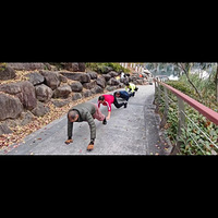 �����һ�����120���Σ��ж��������ж���