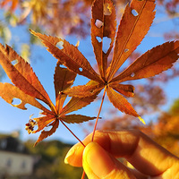 23�����Ρ����ֱ�ʽ�򿨡���24��Ѱ��һ���;����Ǹ�������