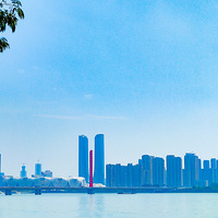 ������ʧ��Ǯ������
