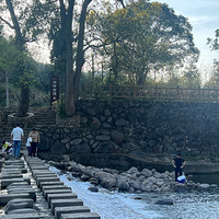 ���������ޡ�+�й�����ɭ�ֹŵ�