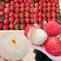 �۸���ն�������ѿ�ʼ���У�����һ�����һ��