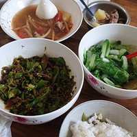 ΢�����Ĳ�