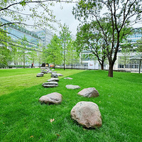 ���ں������Ķ��ԡ���Ŀ�ﾭ��ȥ���ļҵ�