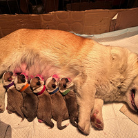 ��ǿ�ġ�����ƽ������������ӣ����°˺ţ���¼һ��#�»���Ȯ