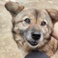 �����˹��������������ǣ����μ���