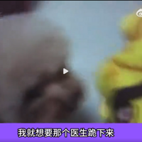 Ů�Ӵ�̩��Ȯ����������������