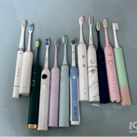 ȫ������ʮ��綯��ˢ���У���ʵ��ڹ��һ��Ʒ�ʣ�