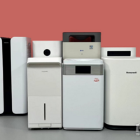 �����������ı׶�����Щ������Ĵ�Σ��������