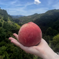 ����Ϊý����ͨ����ح�㽭��ͨ��һ���ҽ�����������´��