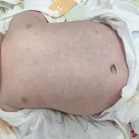 2����Ӥ�������ݿˣ����֡�ƫ����ǧ�����