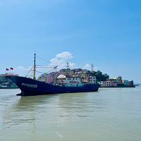 �㽭����ʯ���뵺�������ζȼ���