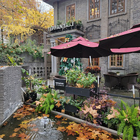 �����ĺ��ݺ�����Ψ��ȱһ��һ�����͵���