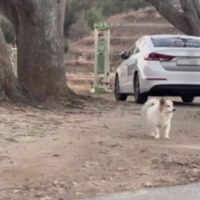 ����ϸ���ع⣡����ǰ����������£�������ʹ...