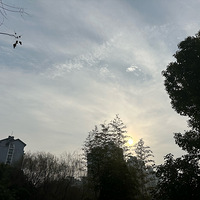 ʱʱĺ