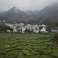 飬